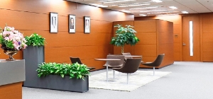 企業情報